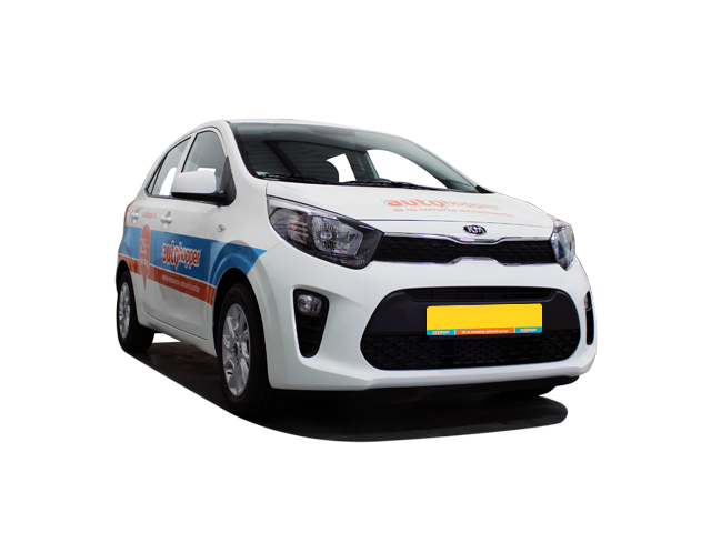 Carteam Niecar