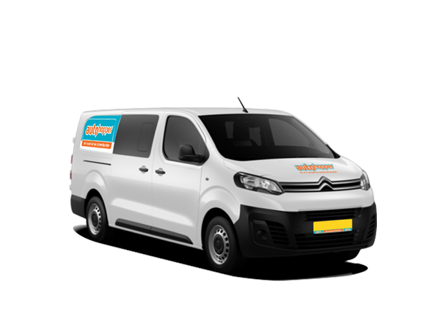Carteam Niecar